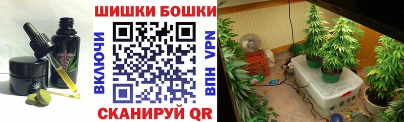 Cannafood марихуана  Купить где  Новодвинск 
