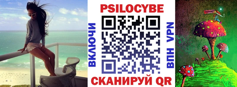 Купить  Новодвинск  Псилоцибиновые грибы мицелий 